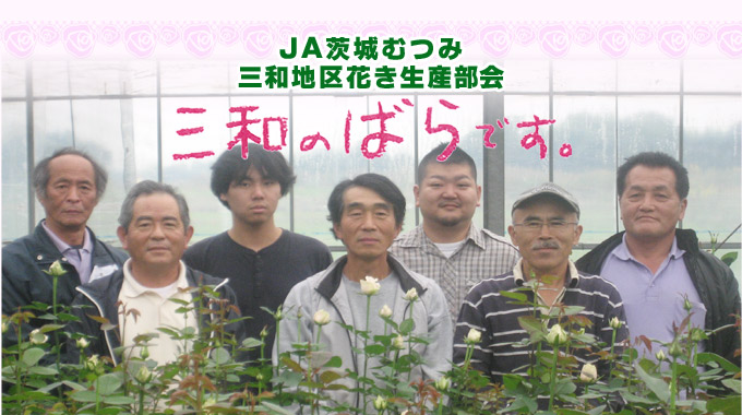三和のばら