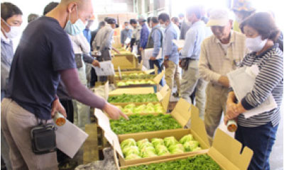 良品出荷に向けて規格を確認