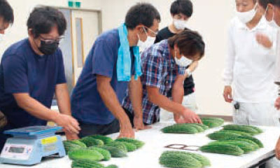 規格を確認する生産者