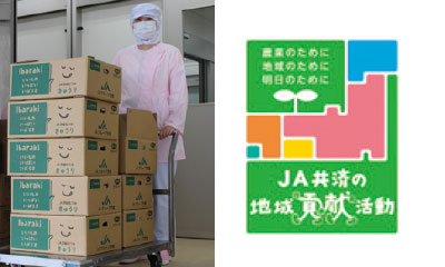 給食センターにきゅうりを寄贈